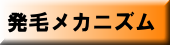 発毛のメカニズム